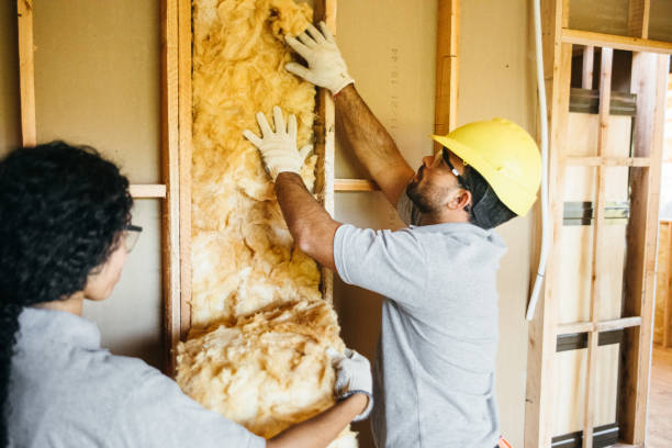 Best Spray Foam Insulation  in Mount Ora, OH