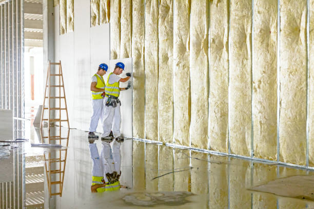 Best Insulation for New Construction  in Mount Ora, OH